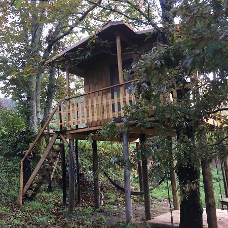 Cabril  Palheiro Do Vale Do Paivaヴィラ エクステリア 写真