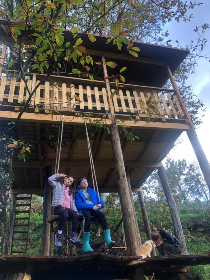 Cabril  Palheiro Do Vale Do Paivaヴィラ エクステリア 写真
